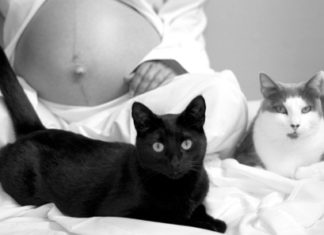 Animali in gravidanza