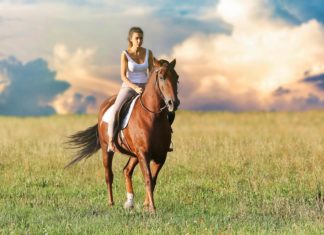 equitazione fa bene