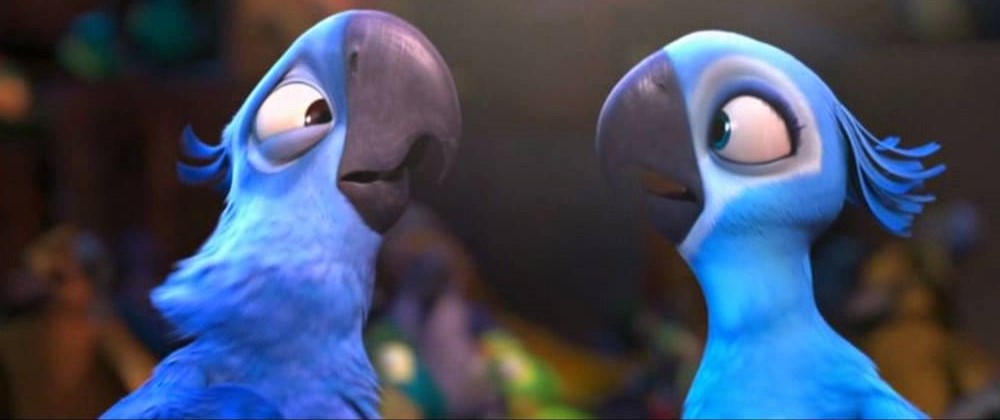 Addio A 8 Specie Di Uccelli Tra Cui Quella Del Pappagallo Del Film Rio