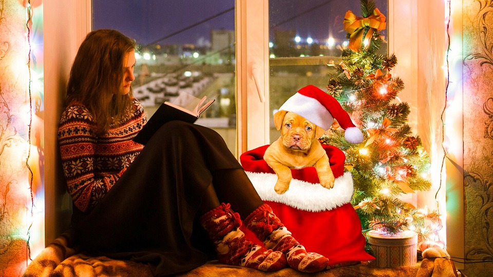 Foto Di Natale Con Animali.Natale Con Gli Animali Consigli Per Un Sereno Natale Con I Nostri Amici A Quattro Zampe